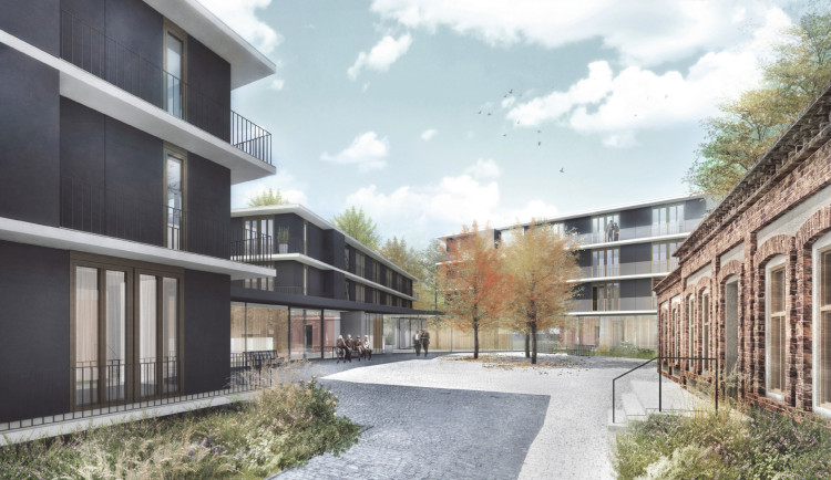 Vizualizace komplexu