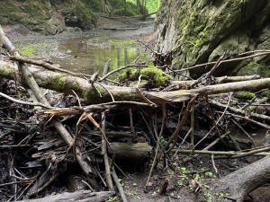 Školák se na Blanensku zřítil ze skály, letěl pro něj vrtulník