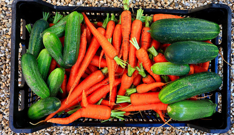 Maso o zelenina z jižní Moravy. Školní jídelny chtějí více regionálních potravin