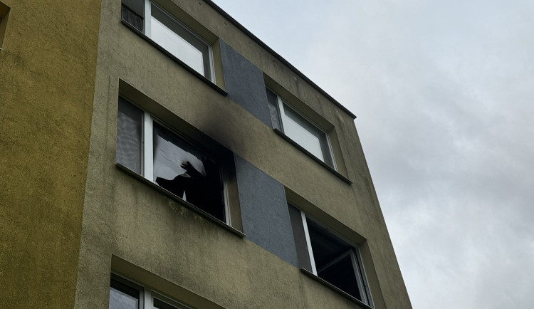 Dva ranní požáry v Praze zaměstnaly hasiče, z budovy zachránili i želvu