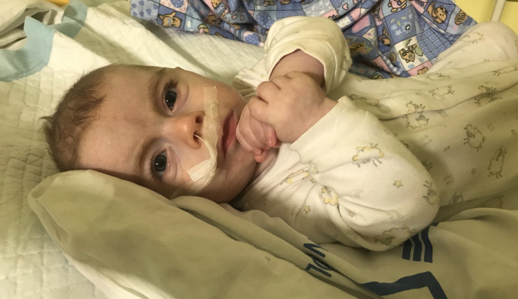 Samík bojuje s těžkou nemocí. Léčba stojí tisíce měsíčně a pojišťovna nepomáhá