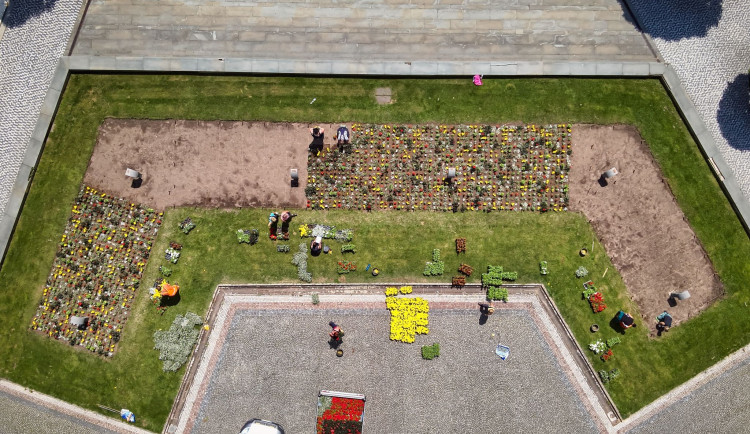 Letničková výsadba v Hradci Králové slaví úspěch: Ornamenty k 800. výročí města