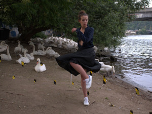 Labutě byly velkou atrakcí i pro fotografy