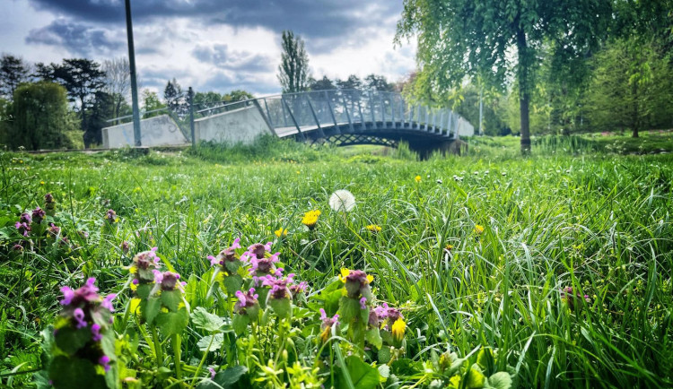Přijďte na Hradecký piknik a promluvte si s primátorkou o tom, jak se vám v Hradci žije