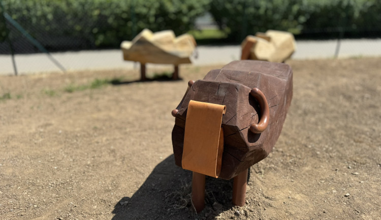 Vinohrady upraví hřiště v Mikulovské tak, aby si mohly hrát i handicapované děti