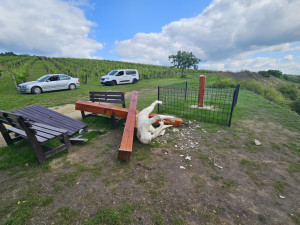 Na Břeclavsku někdo zřejmě motorovkou rozřezal kontroverzní Ódu na frankovku