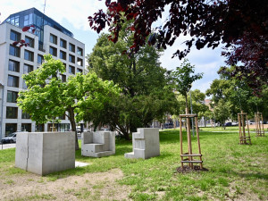 Zrevitalizovaný Janáčkův park v Brně láká na zeleň, umění i nové lavičky