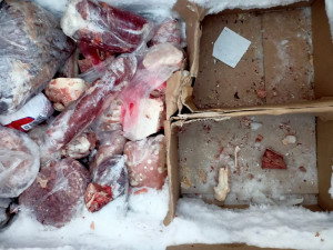 Řeznictví ve Starém Brně skladovalo zkažené maso neznámého původu