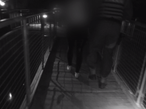 Žena chtěla skokem do Pryglu ukončit své trápení, zachránila ji ostraha kamer