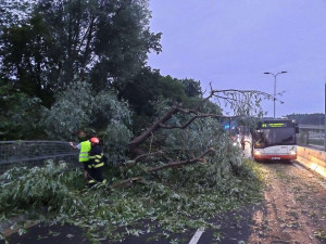 Neprůjezdná D2 a tisíce lidí bez elektřiny. Bouřky na jihu Moravy napáchaly škody