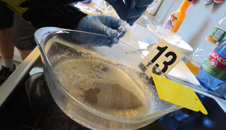 Roztržka kumpánů pomohla odhalit výrobce pervitinu, vyrobili čtyři sta gramů za rok