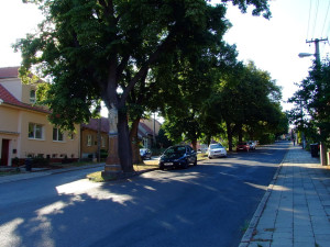 Oprava náměstí v Bosonohách začne o prázdninách, hotovo má být za rok