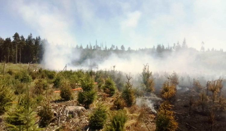 Požár lesa v Batelově. Hasí pět jednotek, byl vyhlášený druhý stupeň poplachu