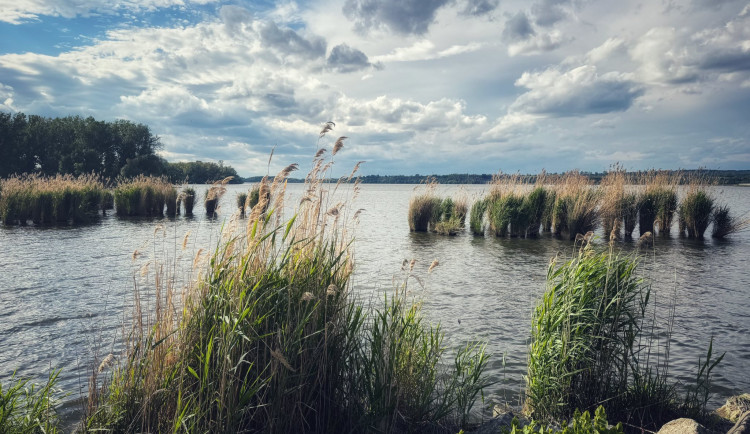 Voda v přírodních koupalištích na jižní Moravě je dobrá, problém mají Nové Mlýny