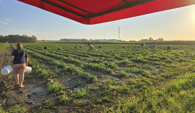 Ilustrační fotografie