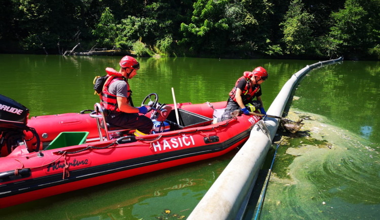 Ilustrační fotografie