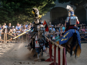 Znojemské historické vinobraní 2025: Když se víno potká s historií