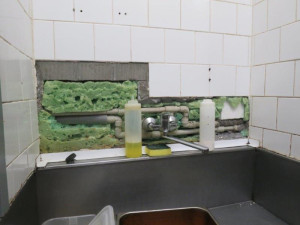 Špína a myší bobky. Inspektoři zavřeli restauraci v Bučovicích