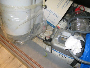 Špína a myší bobky. Inspektoři zavřeli restauraci v Bučovicích