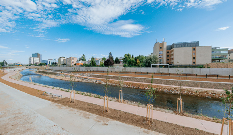 Ilustrační fotografie