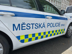 Muž z Brna demoloval zaparkované auto, použil dlažební kostku i květináč