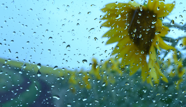 Během víkendu se bude počasí lepšit jen postupně. Očekáváme přeháňky a ojedinělé bouřky