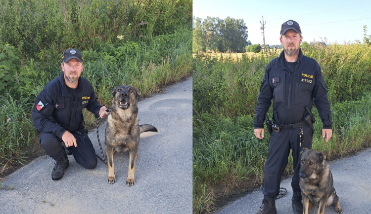 Rodina pohřešovala muže, hrozilo, že si ublíží. Vypátral ho policejní pes