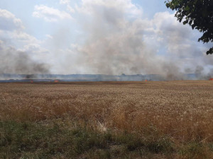Na Břeclavsku hořelo pole. Škoda se zjišťuje, nikdo se nezranil