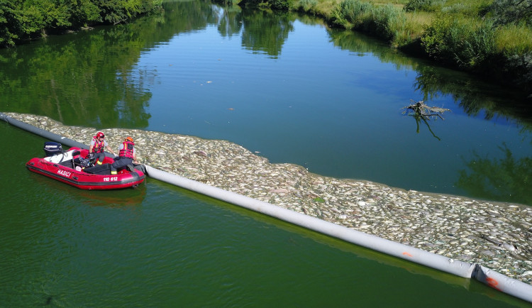 Ilustrační fotografie