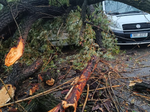 VIDEO: Jižní Moravu potrápil vítr. Strážníci řešili uvolněnou střechu i fasádu