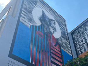 VIDEO: Největší mural v Brně. Centrum města zdobí vlk a zajíc