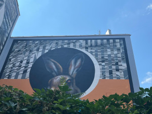 VIDEO: Největší mural v Brně. Centrum města zdobí vlk a zajíc