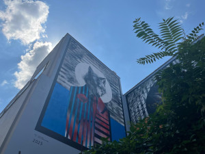 VIDEO: Největší mural v Brně. Centrum města zdobí vlk a zajíc