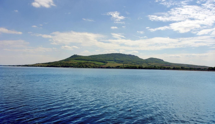 79528806-011a-413d-96b0-8825ef0f6b1b