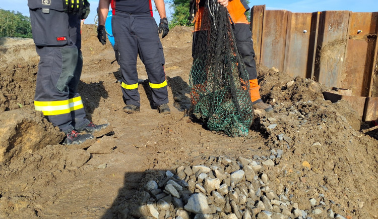 Ilustrační fotografie