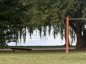 V Brněnské přehradě jsou sinice a chlorofyl, koupat se ale ještě dá