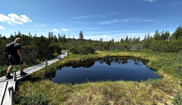 Objevte malý šumavský Yellowstone. Úžasný výlet k jezírkům v Bavorském lese si užijete bez davů