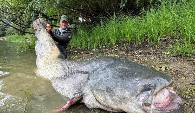 Rybář Vágner ulovil na Vranově masivního sumce. Skočil za ním šipku do vody