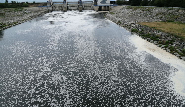 Ilustrační fotografie