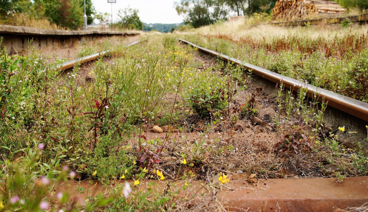 Ilustrační fotografie