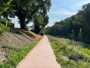 VIDEO: Od Riviéry po Rullerovo nábřeží. Prošli jsme novou náplavku v Brně
