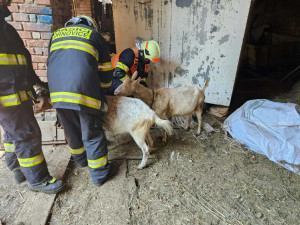 FOTO: Na Vyškovsku hořel rodinný dům. Dva lidé se zranili, na hasiče spadl trám
