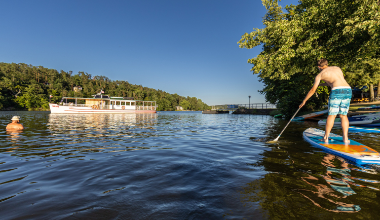 Snímek obrazovky 2025-08-15 084523