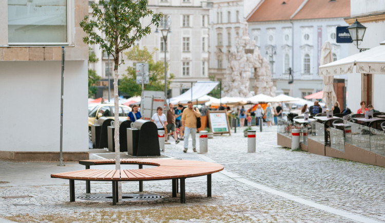 20250730_ILUSTRAČKY_Starobrněnská strom_fb_006