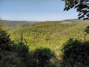 FOTO: Blansko má novou přírodní rezervaci. Jde o staré listnaté lesy v Olešné