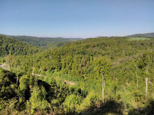 FOTO: Blansko má novou přírodní rezervaci. Jde o staré listnaté lesy v Olešné