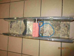 Nepořádek, mrtvé myši a plesnivé suroviny. Inspektoři zavřeli pivnici v Brně