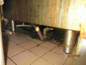 Nepořádek, mrtvé myši a plesnivé suroviny. Inspektoři zavřeli pivnici v Brně