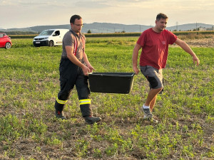Emilovi v Rakousku asistovali hasiči, prý kulhá. Lidé mají o losa obavy