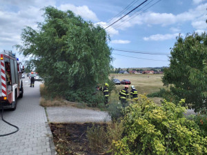 Vítr na jihu Moravy lámal stromy a ničil střechy. Hasiči hlásí téměř šedesát zásahů